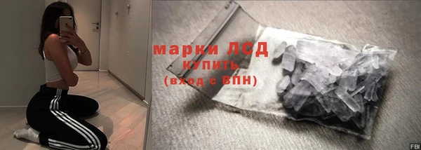 прущие грибы Куйбышев