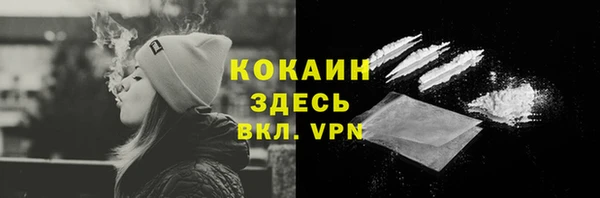 гидра Кукмор