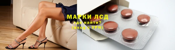 прущие грибы Куйбышев
