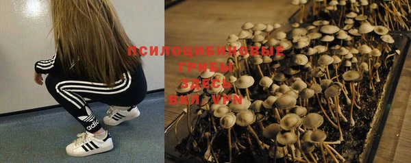 гидра Кукмор