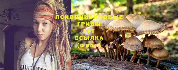 прущие грибы Куйбышев
