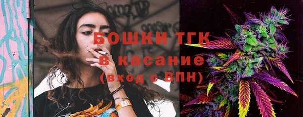 прущие грибы Куйбышев