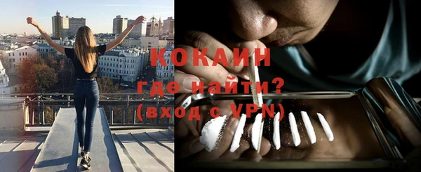 прущие грибы Куйбышев