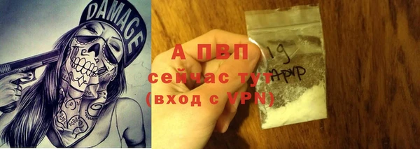 гидра Кукмор