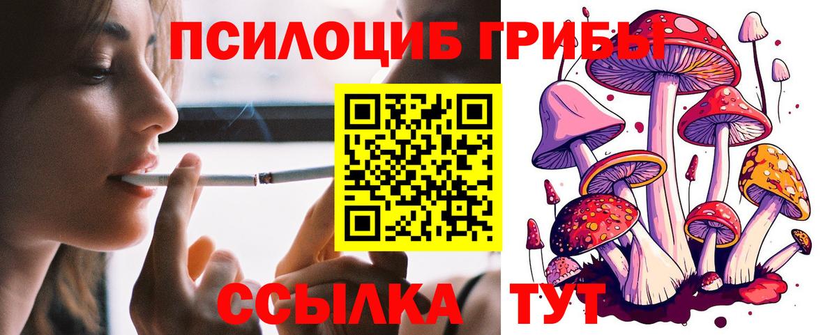 даркнет сайт  Галлюциногенные грибы ЛСД  Вход с VPN  Ессентуки 