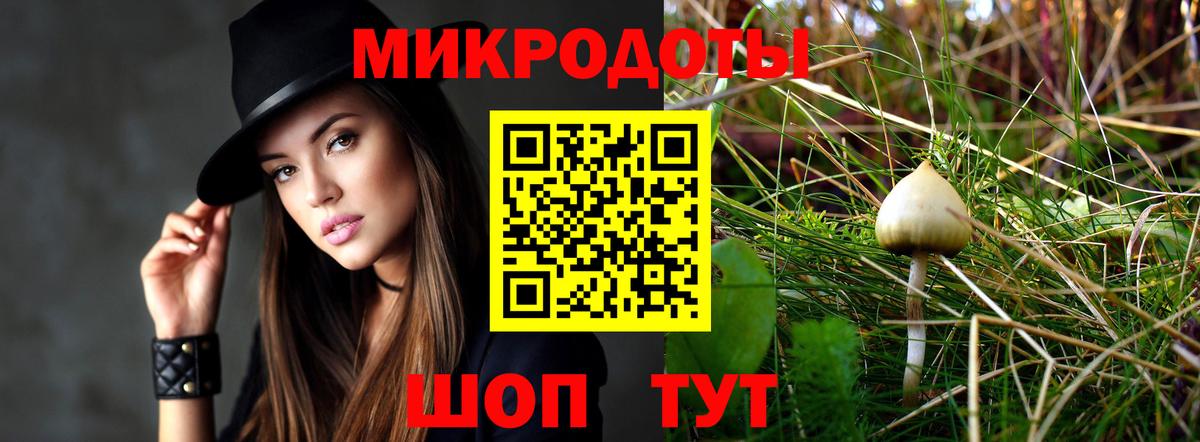 Псилоцибиновые грибы мицелий Ессентуки