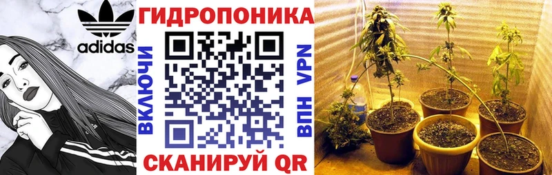 наркотики  Ессентуки  Шишки марихуана VHQ 