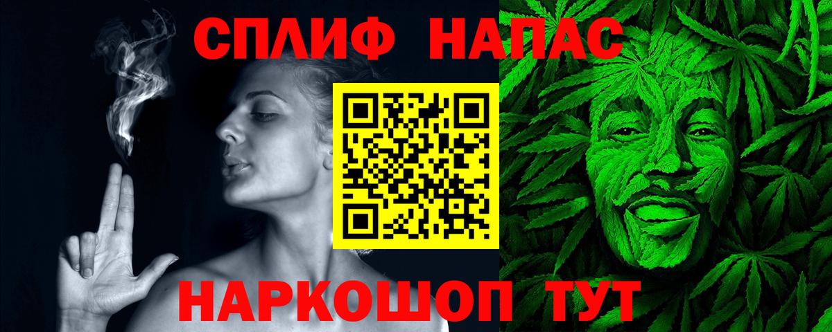 Каннабис планчик  Бошки Шишки семена  Конопля марихуана  Вход с VPN  Ессентуки 